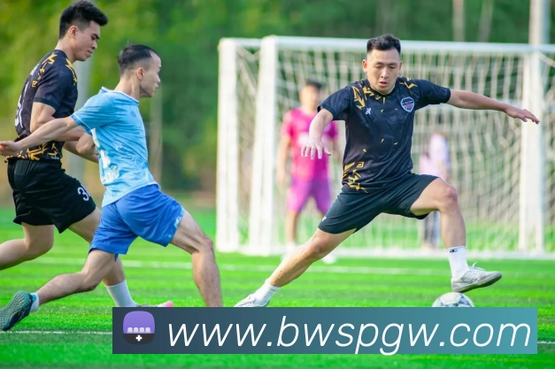 宝威体育官网品牌故事